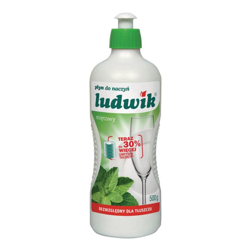 Płyn do naczyń LUDWIK 5l mięta
