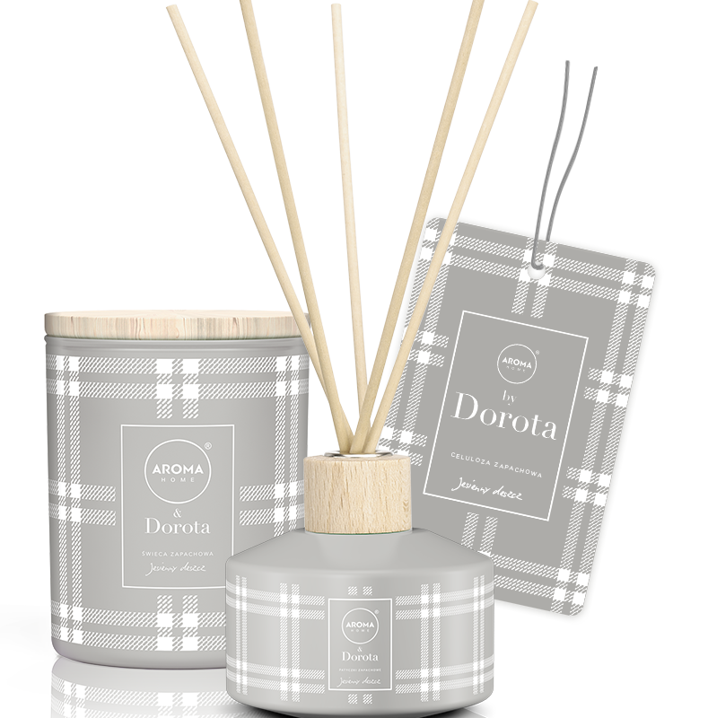 AROMA HOME & Dorota Sticks 100ml jesienny deszcz